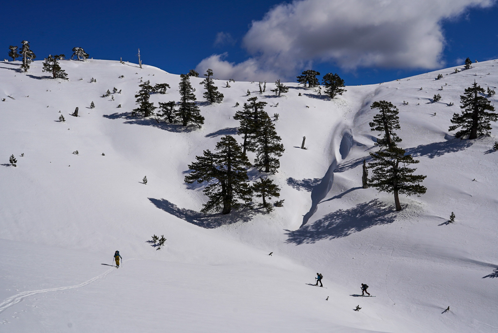 Pins en neige profonde, pinde — périvoli et vasilitsa, lors d’une itinérance à ski en Grèce.